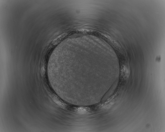 X0000097620566200803281039
