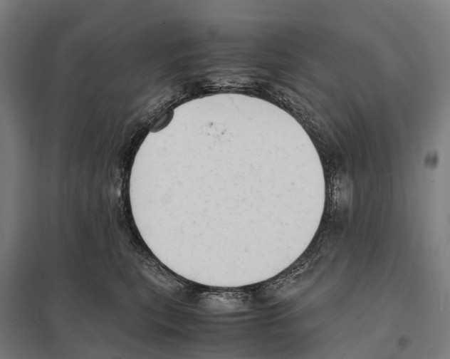 X0000097620567200803281039