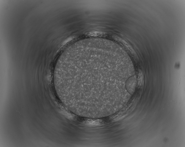 X0000097620569200803281039