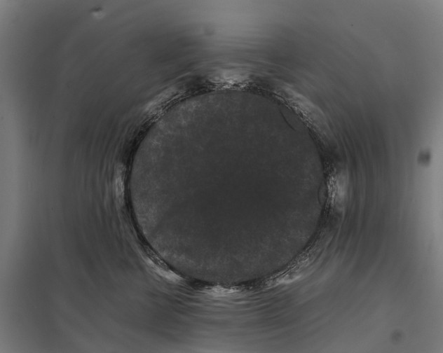 X0000097620570200803281039