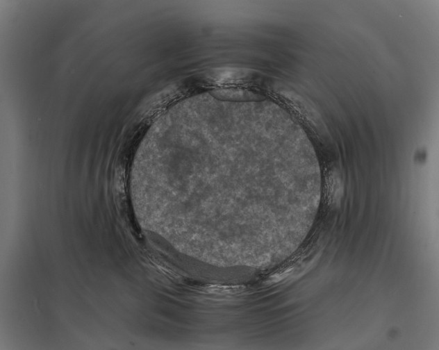 X0000097620571200803281039