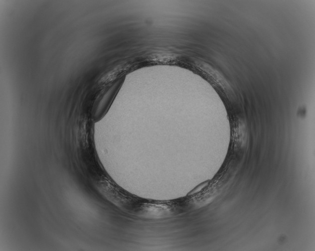 X0000097620572200803281039