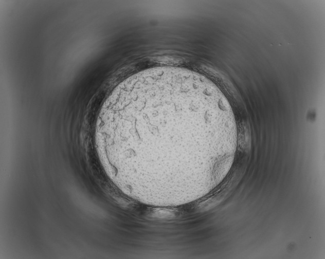 X0000097620573200803281039