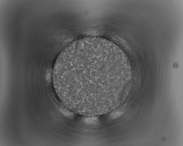 X0000097620576200803281039