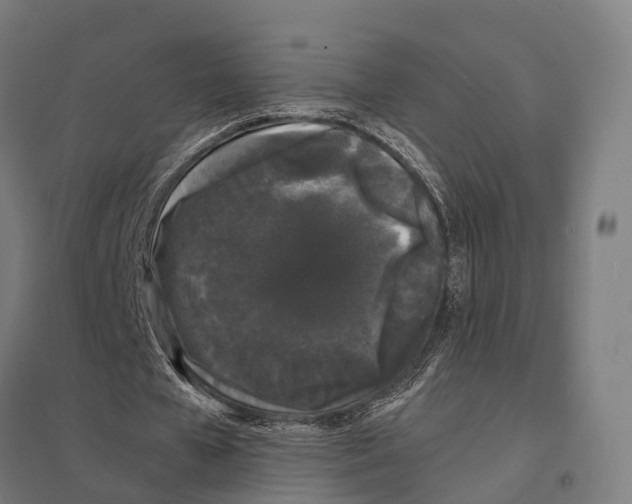 X0000097620577200803281038