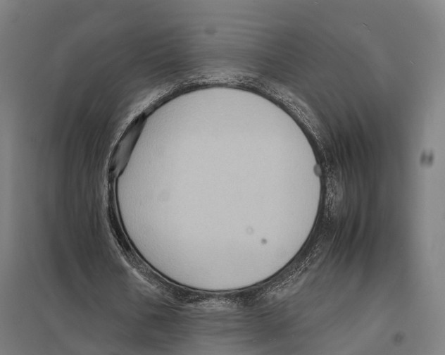 X0000097620578200803281038
