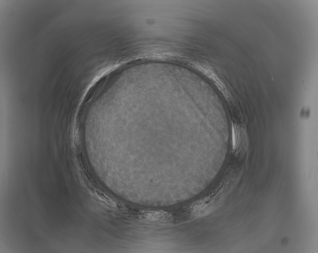 X0000097620579200803281038