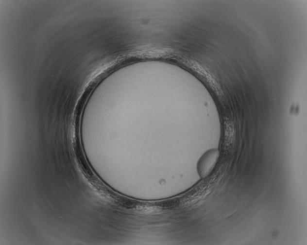 X0000097620582200803281038