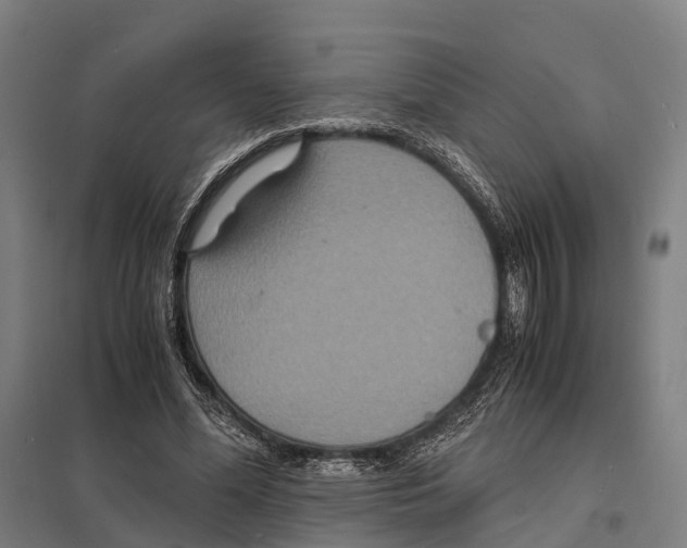 X0000097620588200803281038
