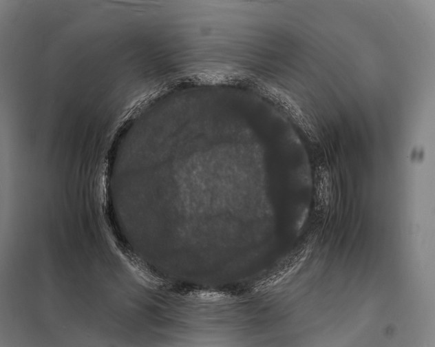 X0000097620590200803281038