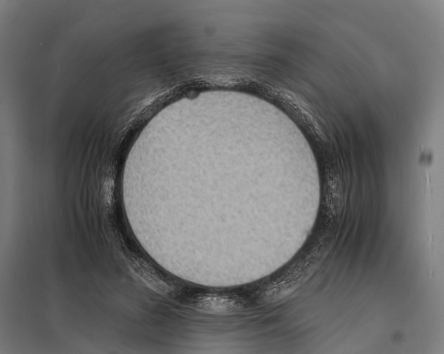 X0000097620596200803281038