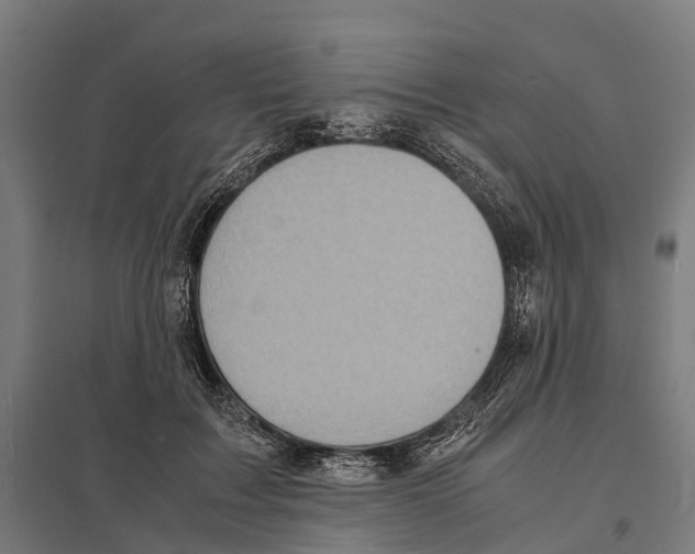 X0000097620603200803281038