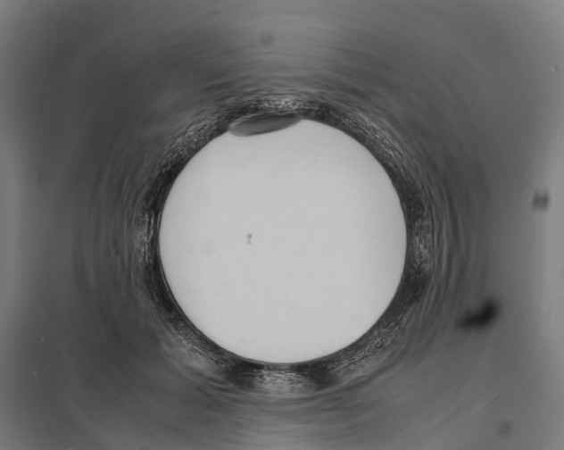 X0000097620605200803281038