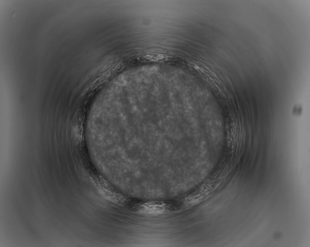 X0000097620606200803281038