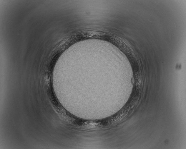 X0000097620607200803281038