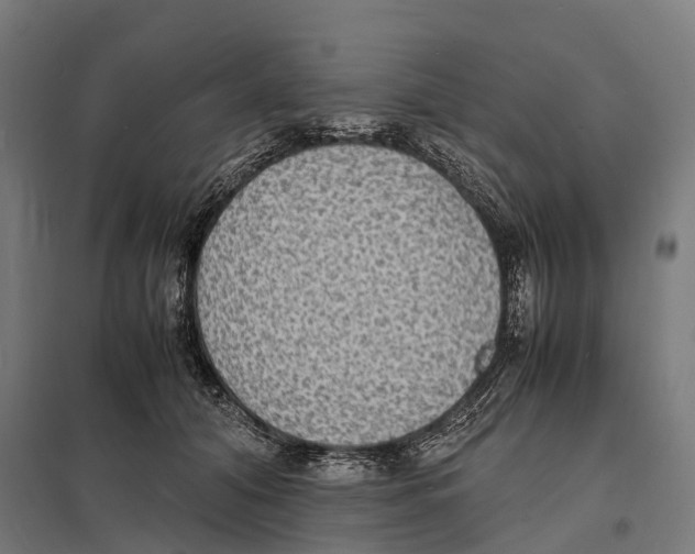 X0000097620608200803281038