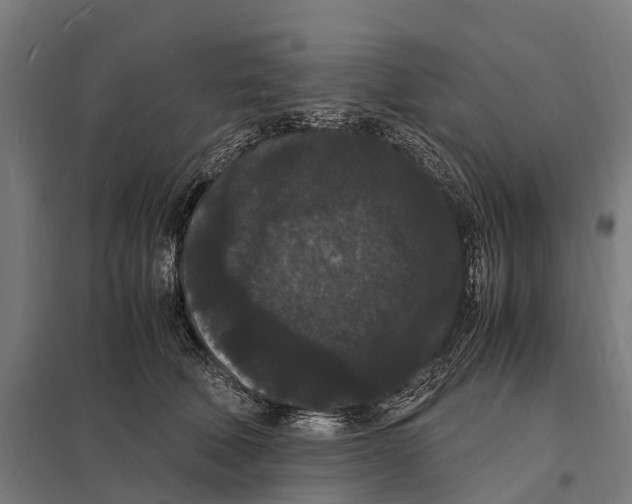 X0000097620610200803281038