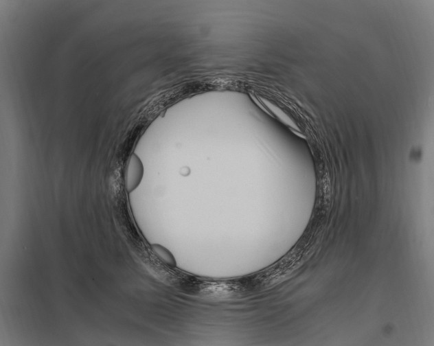 X0000097620611200803281038
