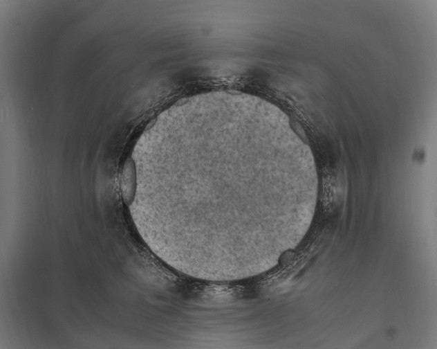 X0000097620613200803281038