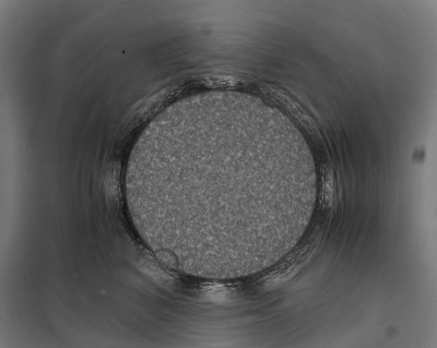 X0000097620616200803281038