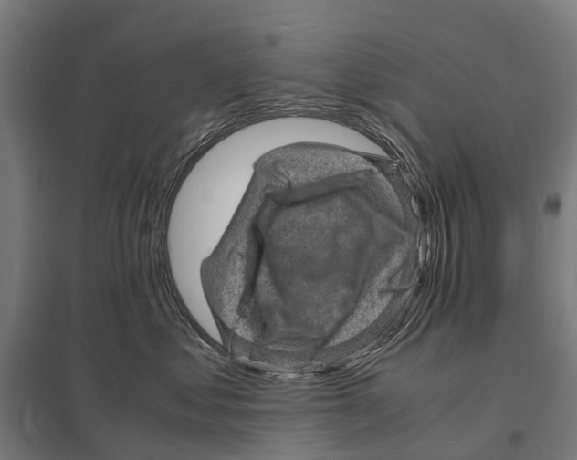 X0000097620621200803281037
