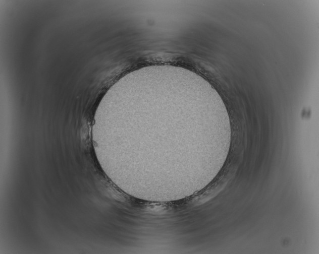 X0000097620624200803281037