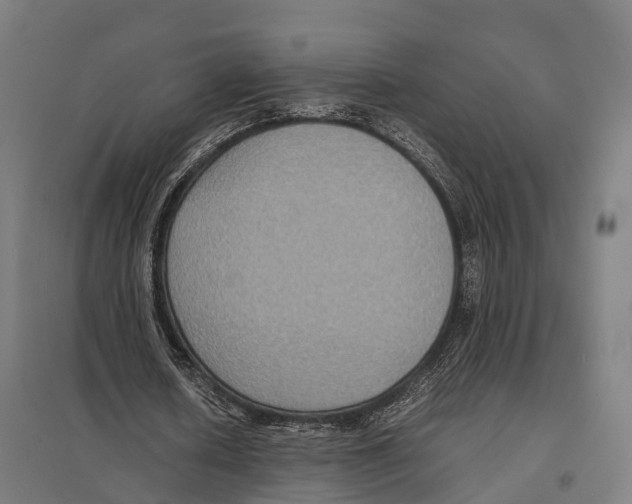 X0000097620626200803281037