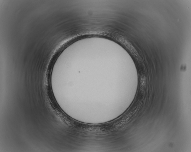 X0000097620628200803281037