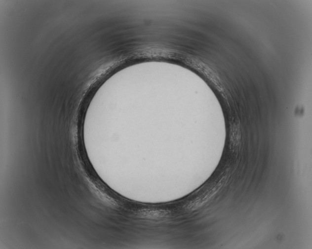 X0000097620629200803281037