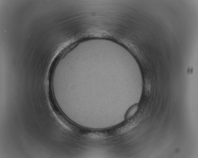 X0000097620630200803281037