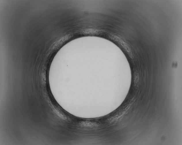 X0000097620633200803281037