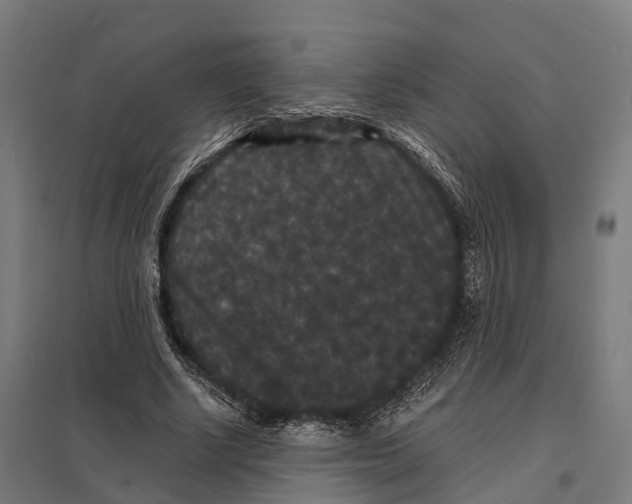 X0000097620634200803281037