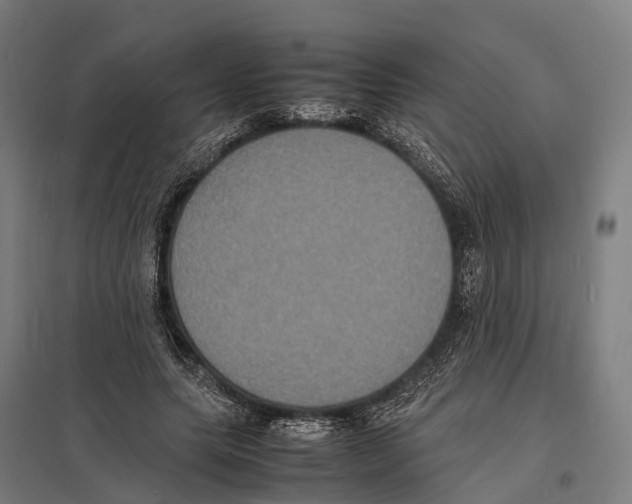 X0000097620639200803281037