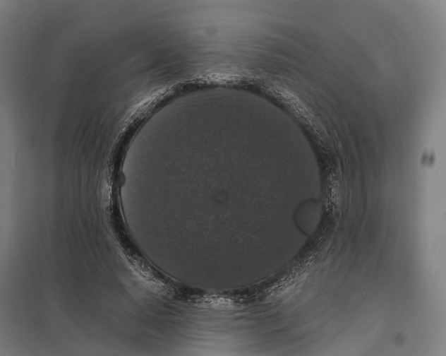 X0000097620640200803281037