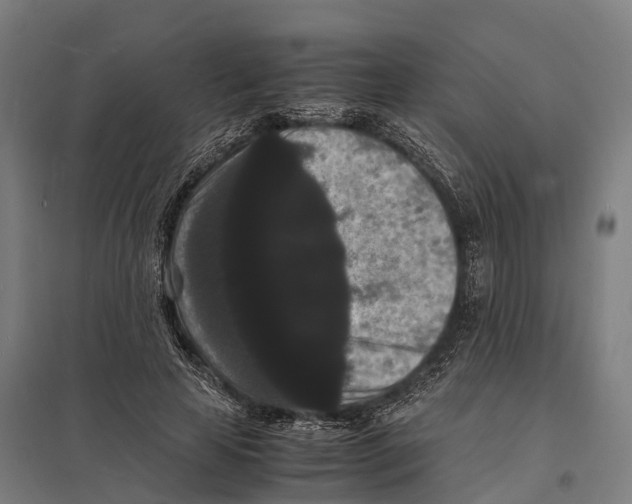 X0000097620641200803281037