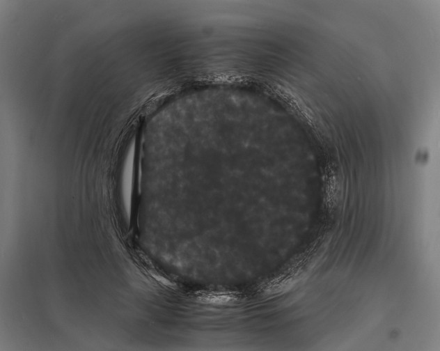X0000097620643200803281037