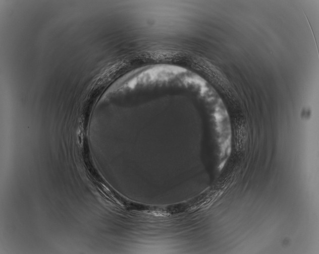 X0000097620644200803281037