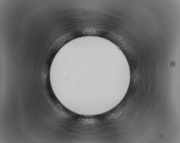 X0000097620645200803281037
