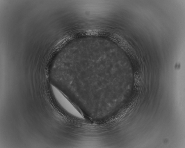 X0000097620648200803281037
