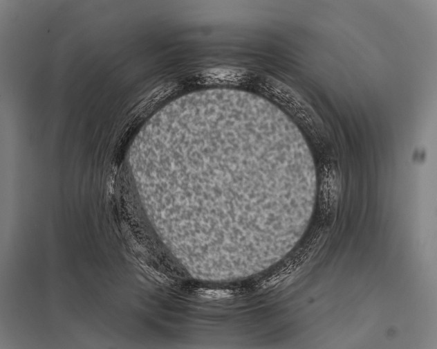X0000097620649200803281037