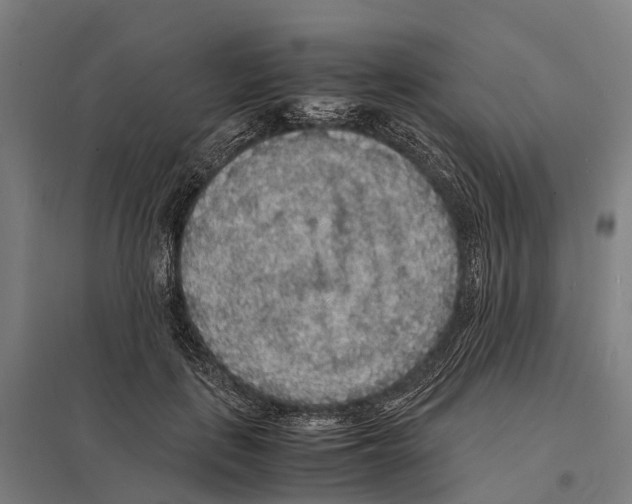 X0000097620651200803281037