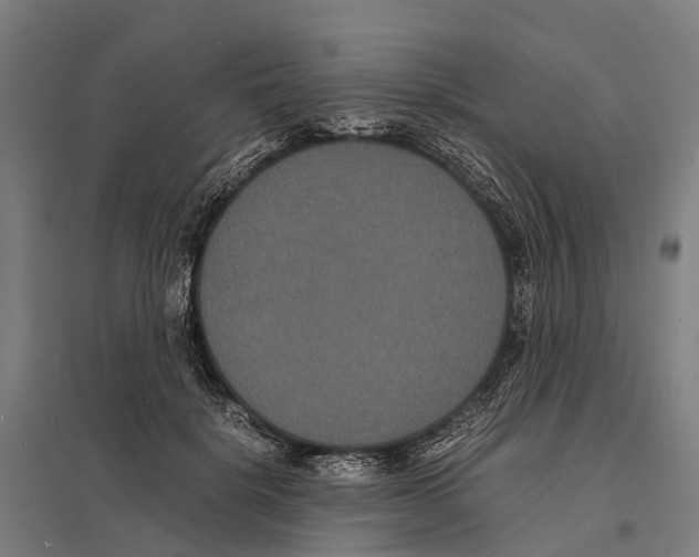X0000097620652200803281037