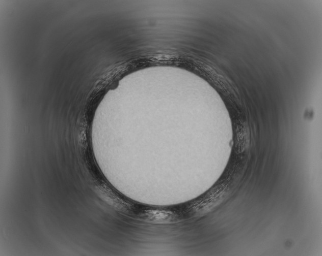 X0000097620654200803281037