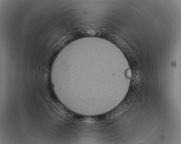 X0000097620656200803281037