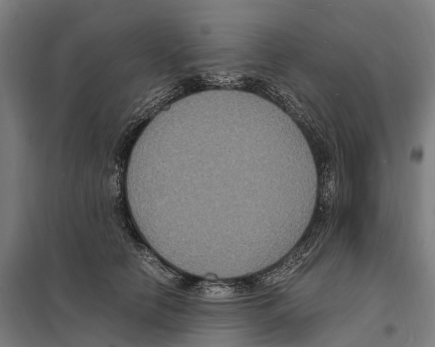 X0000097620658200803281037
