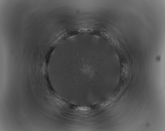 X0000097620659200803281037