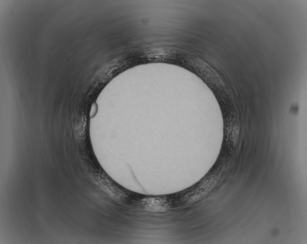 X0000097620660200803281037