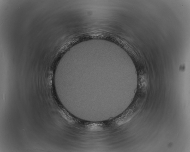 X0000097620664200803281037