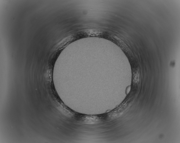 X0000097620666200803281037