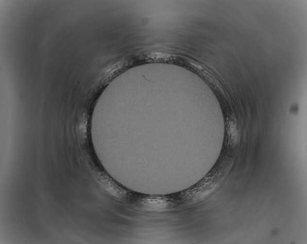X0000097620668200803281037